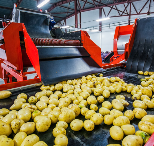 Food Safety Management Systems