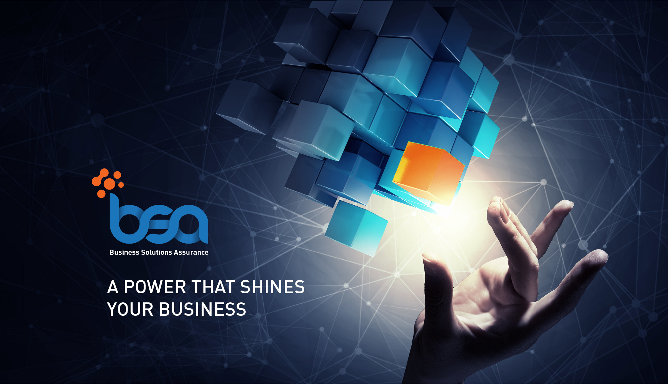 BSA - A Power that Shines Your Business Slide 2